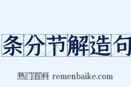 条分节解造句是什么意思的图片